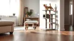 Nass- oder Trockenfutter für Kitten?