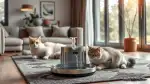 Katzenwasserbedarf: Optimale Versorgung für Ihre Samtpfote
