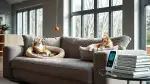 Diätfutter für Katzen mit Diabetes