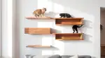 Katzen-Wandregale: Höhenlandschaften für Kletterer