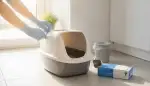 Schutz und Hygiene: Hände sauber halten