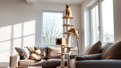 Augenprobleme bei Katzen erkennen