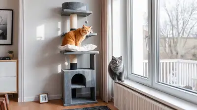Wurmbefall bei Katzen vorbeugen