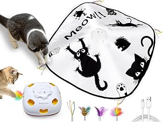 GoldenSun Katzenspielzeug, Wiederaufladbar, Interaktives 4-in-1 Spielzeug für Indoor, Verstecksp…