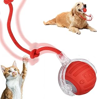 Interaktives Katzenspielzeug Ball,Katzenspielzeug Elektrisch Ball Interaktives Spielzeug Katzenba…