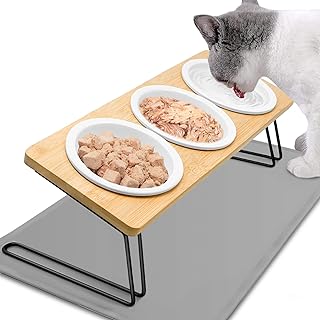 Katzennapf Erhöht – 3er Set Futternapf Katze aus Keramik – 15° gekippte Futterstation Katzen Na…