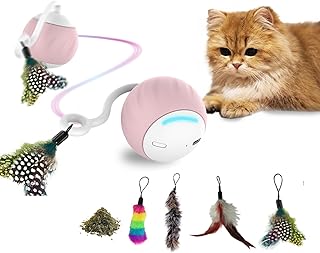 Interaktives Katzenspielzeug mit Sprachaktivierung & 4 Ersatzfedern & Katzenminze – Elektrischer …