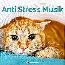 Anti Stress Musik für Katzen | Beruhigungsmusik für Böller und Feuerwerk an Silvester