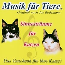 Musik Für Tiere-Katze