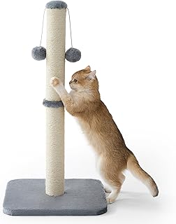 Lesure Kratzsäule Mittelgroßer für Katzen Indoor – 36x36x74cm Kratzstamm mit Hängendem Spielb…