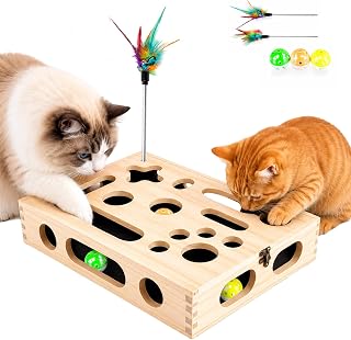3-in-1 Kratzkiste für Katzen, Interaktives Katzenspielzeug mit Spielzubehör | Größe L, mit 2 …