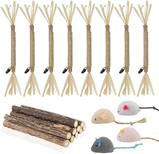 Katzenspielzeug Set 22 Stück Matatabi Stick Katze Katzenminze Spielzeug | für Zahnreinigung Zah…