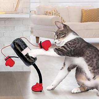 Boxsack mit Handschuhen Katzenspielzeug, EIN Katzen-Boxspielzeug – Boxsack für Katzen für Kätz…