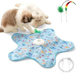 Interaktives Katzenspielzeug Versteckspiel, Bewegungspuzzle für Hauskatzen