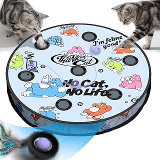 Katzenspielzeug für drinnen, interaktives Ballspielzeug mit 7 Löchern, Labyrinthmattenbeutel, a…
