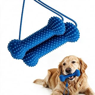 2 Stück Kauspielzeug Hund 10x4cm, Zahnreinigung Spielzeug Unzerstörbar Blau