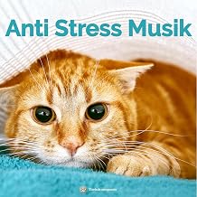 Anti Stress Musik für Katzen | Beruhigungsmusik für Böller und Feuerwerk an Silvester