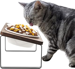 GUUSII HOME Futterstation Katzen Erhöht Katzen Fressnapf Katze Erhöht Ergonomischer Katzennapf …